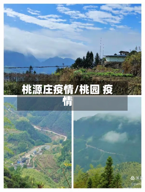 桃源庄疫情/桃园 疫情