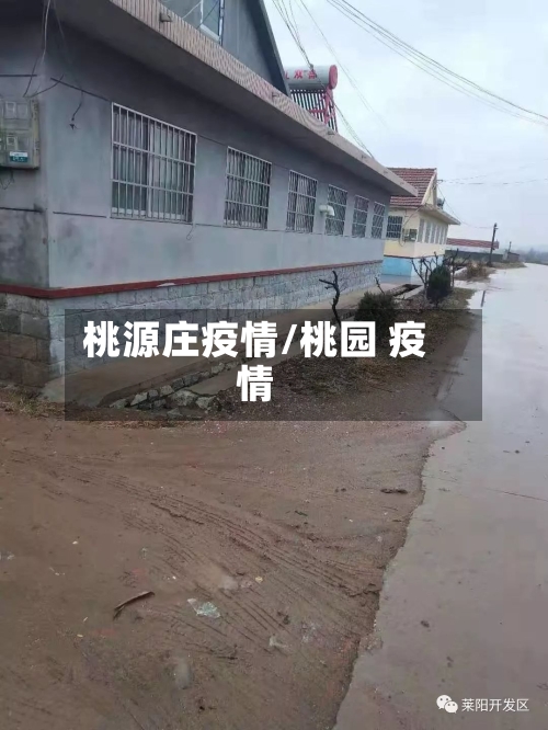 桃源庄疫情/桃园 疫情-第3张图片