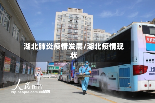 湖北肺炎疫情发展/湖北疫情现状-第2张图片