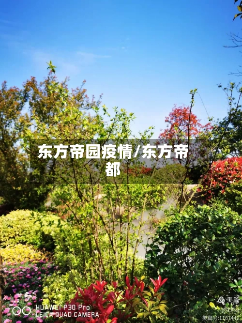 东方帝园疫情/东方帝都