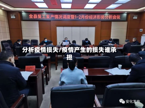 分析疫情损失/疫情产生的损失谁承担-第2张图片