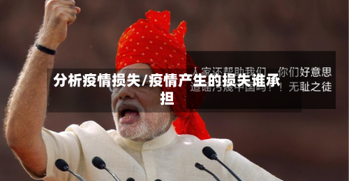 分析疫情损失/疫情产生的损失谁承担