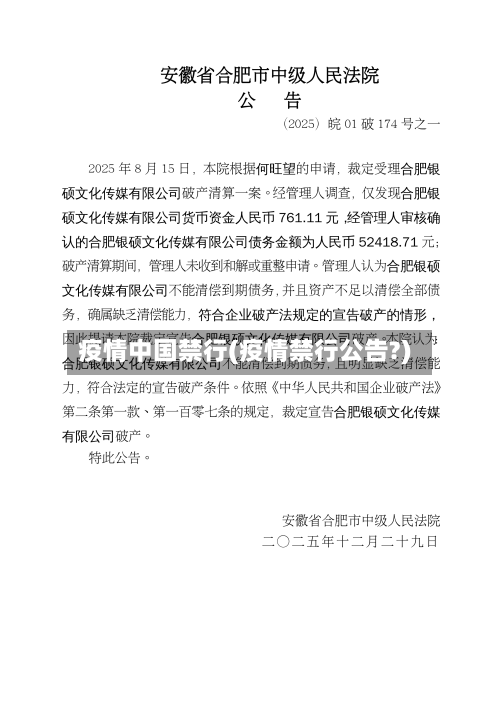 疫情中国禁行(疫情禁行公告?)
