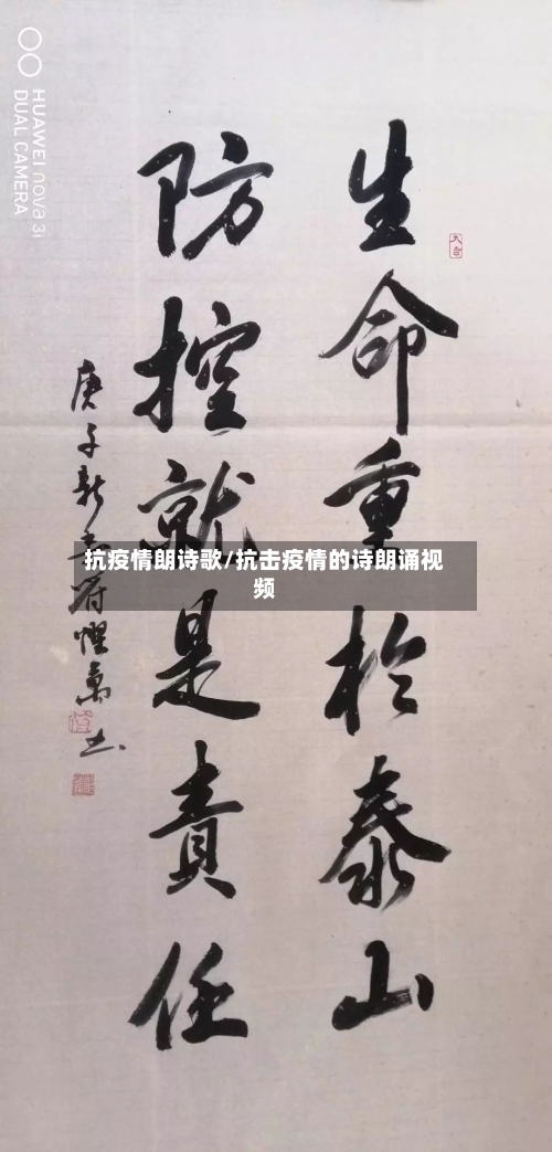 抗疫情朗诗歌/抗击疫情的诗朗诵视频-第3张图片