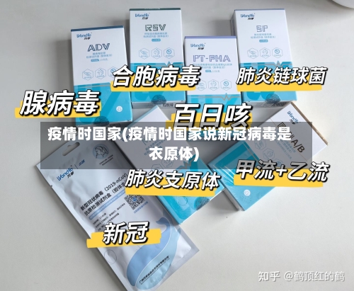 疫情时国家(疫情时国家说新冠病毒是衣原体)