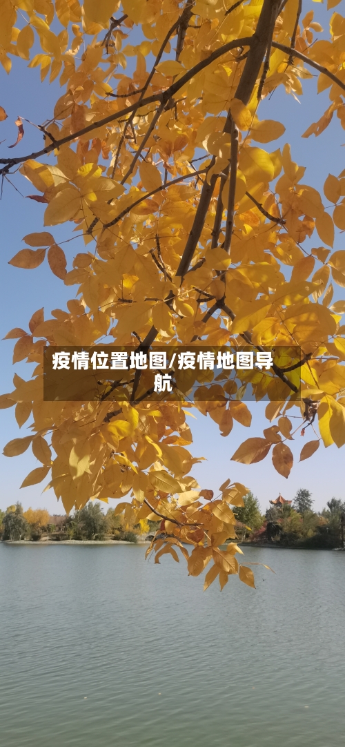 疫情位置地图/疫情地图导航
