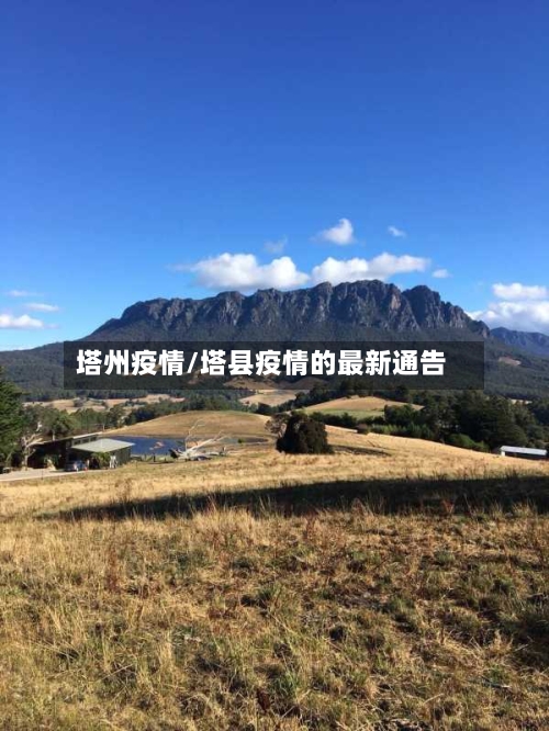 塔州疫情/塔县疫情的最新通告-第3张图片