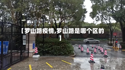 【罗山路疫情,罗山路是哪个区的】