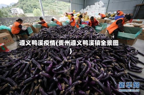 遵义鸭溪疫情(贵州遵义鸭溪镇全景图)