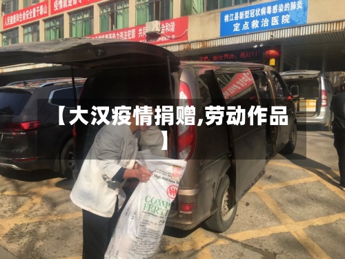 【大汉疫情捐赠,劳动作品】-第3张图片