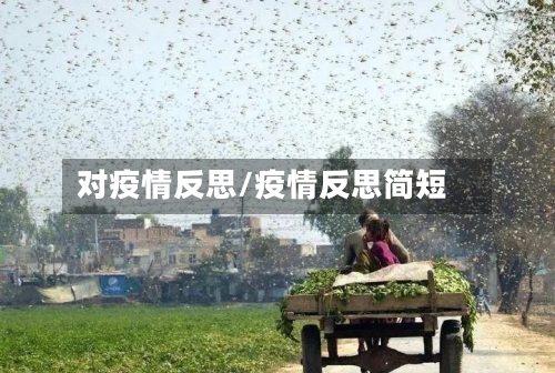 对疫情反思/疫情反思简短