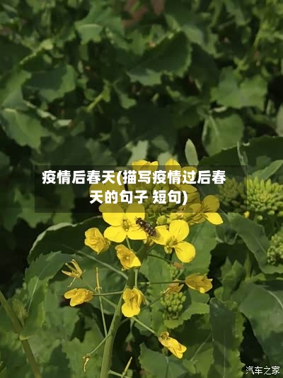 疫情后春天(描写疫情过后春天的句子 短句)