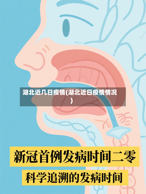 湖北近几日疫情(湖北近日疫情情况)-第2张图片