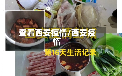 查看西安疫情/西安疫惰-第2张图片