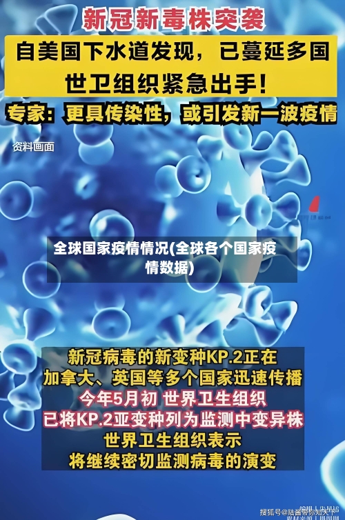 全球国家疫情情况(全球各个国家疫情数据)