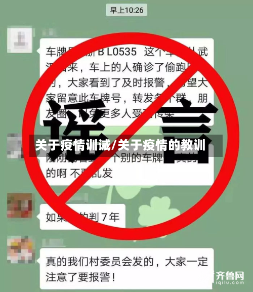 关于疫情训诫/关于疫情的教训-第3张图片
