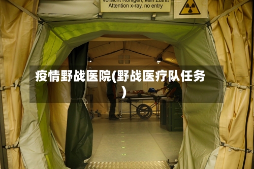 疫情野战医院(野战医疗队任务)-第2张图片