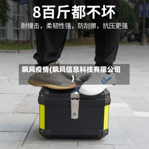 飙风疫情(飙风信息科技有限公司)-第3张图片