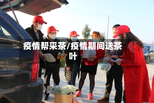 疫情帮采茶/疫情期间送茶叶