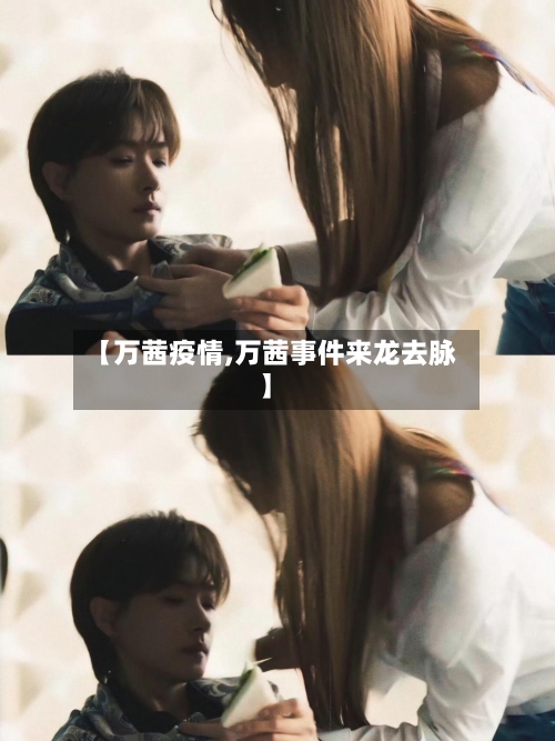 【万茜疫情,万茜事件来龙去脉】