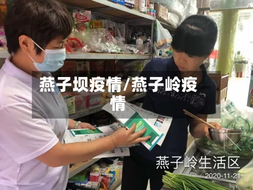 燕子坝疫情/燕子岭疫情