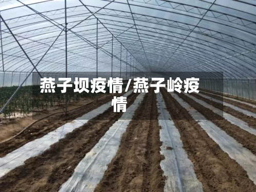 燕子坝疫情/燕子岭疫情-第2张图片