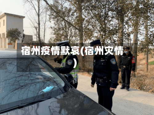 宿州疫情默哀(宿州灾情)-第3张图片