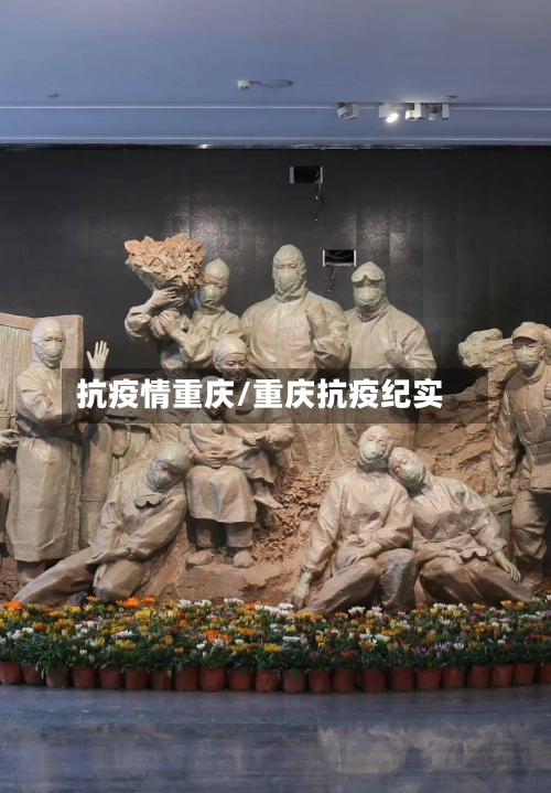 抗疫情重庆/重庆抗疫纪实-第2张图片