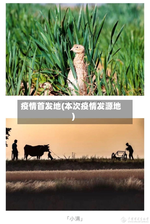 疫情首发地(本次疫情发源地)
