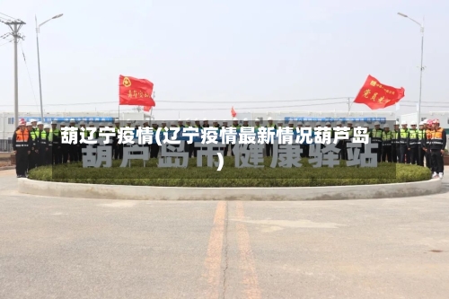 葫辽宁疫情(辽宁疫情最新情况葫芦岛)