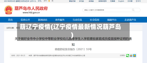 葫辽宁疫情(辽宁疫情最新情况葫芦岛)-第2张图片