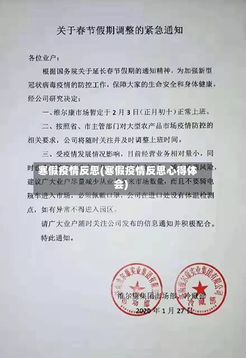 寒假疫情反思(寒假疫情反思心得体会)