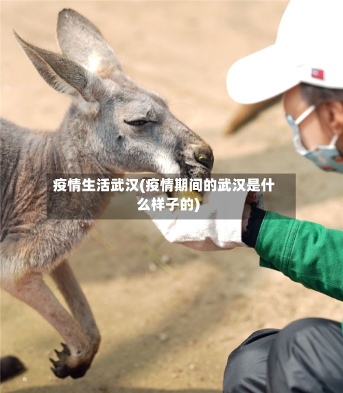 疫情生活武汉(疫情期间的武汉是什么样子的)-第3张图片