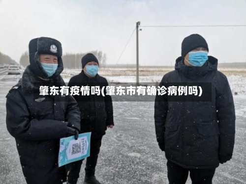 肇东有疫情吗(肇东市有确诊病例吗)-第2张图片