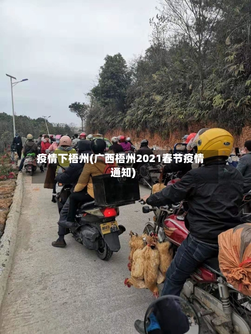 疫情下梧州(广西梧州2021春节疫情通知)