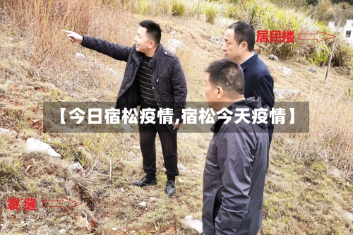 【今日宿松疫情,宿松今天疫情】-第3张图片