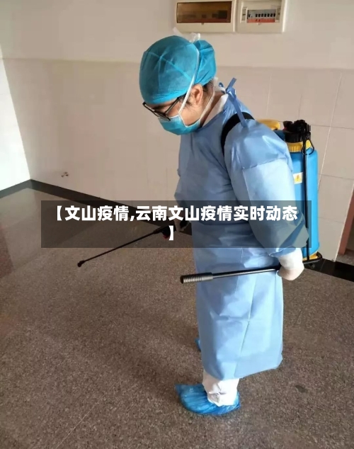 【文山疫情,云南文山疫情实时动态】