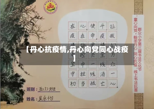 【丹心抗疫情,丹心向党同心战疫】-第2张图片