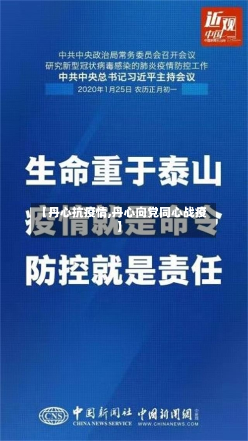 【丹心抗疫情,丹心向党同心战疫】-第3张图片