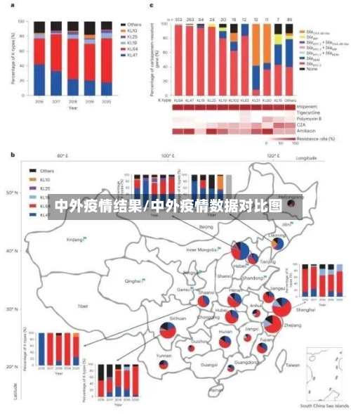 中外疫情结果/中外疫情数据对比图-第2张图片