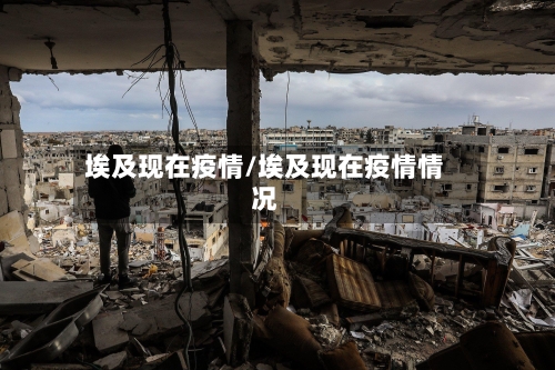 埃及现在疫情/埃及现在疫情情况-第3张图片