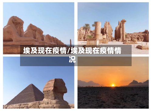 埃及现在疫情/埃及现在疫情情况-第2张图片