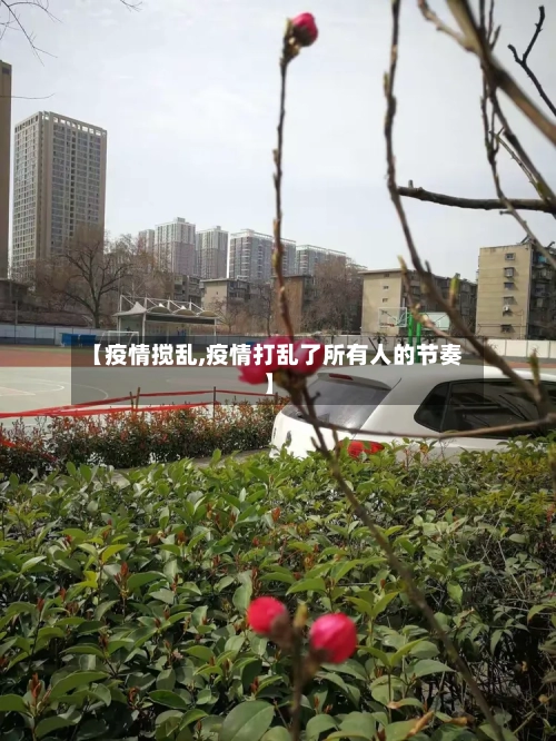 【疫情搅乱,疫情打乱了所有人的节奏】