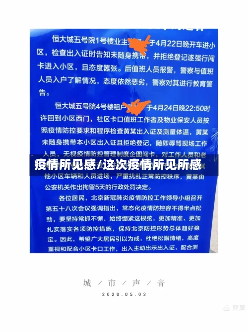 疫情所见感/这次疫情所见所感