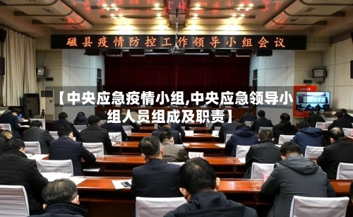 【中央应急疫情小组,中央应急领导小组人员组成及职责】