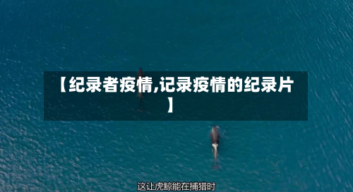 【纪录者疫情,记录疫情的纪录片】-第2张图片