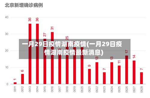 一月29日疫情湖南疫情(一月29日疫情湖南疫情最新消息)-第2张图片
