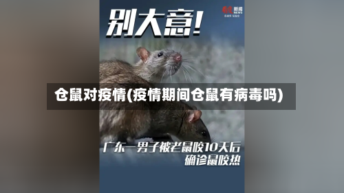 仓鼠对疫情(疫情期间仓鼠有病毒吗)