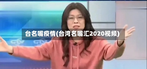 台名嘴疫情(台湾名嘴汇2020视频)