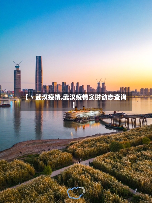 【丶武汉疫情,武汉疫情实时动态查询】-第2张图片